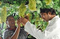 Action 3D OoLaLa Song Stills